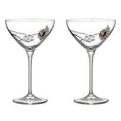 All about you coupe champagne glass 32 cl 2-pack, All for you