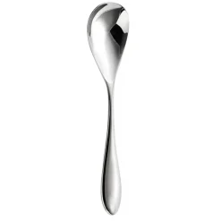 Bourton Bright dessert spoon, Stainless steel
