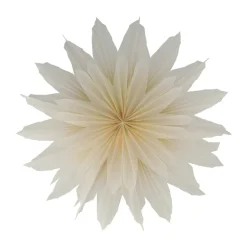 Brisk Advent star, Ø50 cm