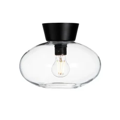 Bulllo ceiling lamp clear glass Ø27 cm, matte black