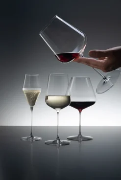Definition champagne glass 25 cl 2-pack, Clear