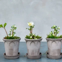 Elizabeth flower pot Ø12 cm, grey