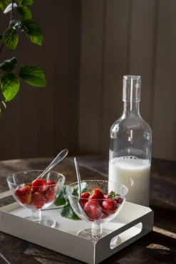Ernst bowl bubbly glass 2-pack, Clear