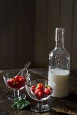 Ernst bowl bubbly glass 2-pack, Clear