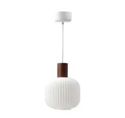Fair pendant lamp Ø20cm, Frosted glass-dark stained ash