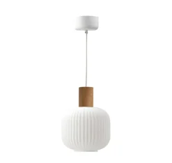 Fair pendant lamp Ø20cm, Frosted glass-ash