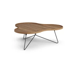 Flower mono table Special Edition 107x114 cm, H39 cm-lacquered walnut-black lacquered steel