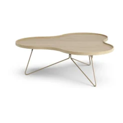 Flower mono table 107x114 cm, H39 Oak lacquered-nutmeg RAL1019