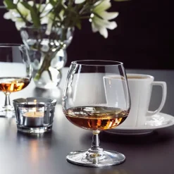 Grand Cru cognac glasses 2-pack, clear 2-pack