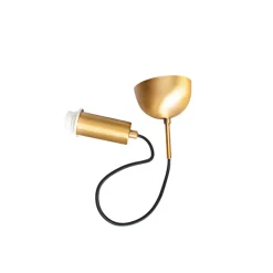 Honey suspension, Gold