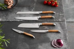 Laguiole By Hâws knife set 5-piece, Olive