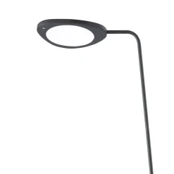 Leaf floor lamp, Black