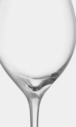 More Champagne Boule champagne glasses 31 cl 2-pack, Clear