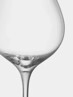 More Pinot wine glasses 60 cl 4-pack, Clear