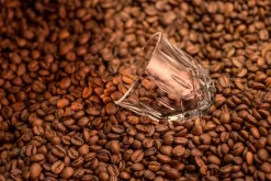Noblesse Barista Espresso glass 9 cl 2-pack, Clear