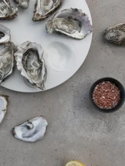 Oyster plate Ø27 cm, White