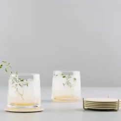 Rocks lowball glass 2-pack, 22 cl