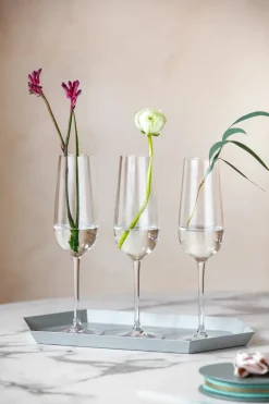 Rose Garden champagne glass 4-pack 29 cl, Clear