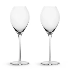 Saga champagne glass 2-pack, Clear