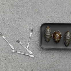 Salt- & pepper shaker beetles, brown
