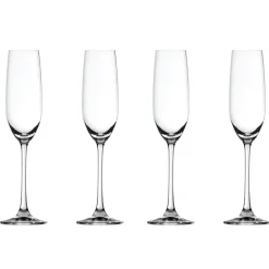 Salute Champagne glass 21cl. 4-pack, clear