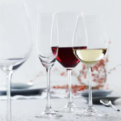 Salute Champagne glass 21cl. 4-pack, clear