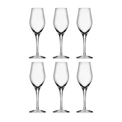 Sense champagne glass 25.5 cl 6-pack, Clear