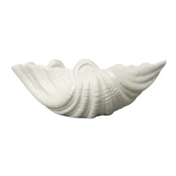 Shell bowl, 13 x 23 cm