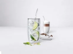 Zwilling Sorrento straws with bend 4-pack, Clear