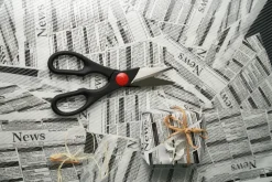 Zwilling Twin universal scissors, 20 cm